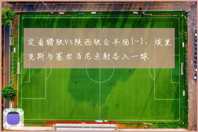 定南赣联vs陕西联合半场1-1,埃里克斯与塞尔马尼点射各入一球